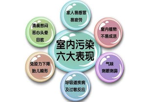 除甲醛最好方法及关键注意事项